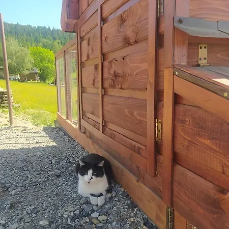 公寓 Privat Bachledova Dolina